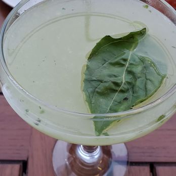Bacari GDL - Basil breeze. - Mediterranean Near Me - Glendale, California Bacari GDL - Basil breeze. - Mediterranean Near Me - Glendale, California