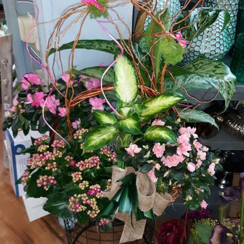 Sicola's Florist - Florists Near Me - Cypress, Texas Sicola's Florist - Florists Near Me - Cypress, Texas