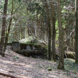 Premiumwanderweg: Frohn-Wald Weg