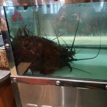 King's Fish House - Tempe - Spiney lobsters - Seafood Near Me - Tempe, Arizona