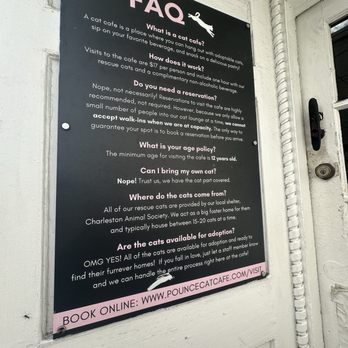 Pounce Cat Cafe - Pet Adoption Near Me - Charleston, South Carolina