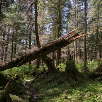 Indian River Trail - Hiking Near Me - Sitka, Alaska Indian River Trail - Hiking Near Me - Sitka, Alaska
