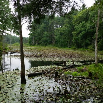 Great Brook Farm State Park - Dog Parks Near Me - Carlisle, Massachusetts