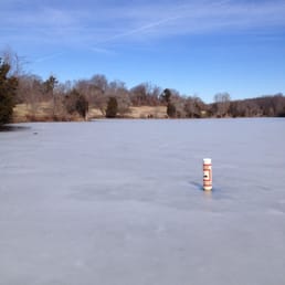 In the 50s today but still a pretty thick layer of ice on the lake (2-19-2014). In the 50s today but still a pretty thick layer of ice on the lake (2-19-2014).