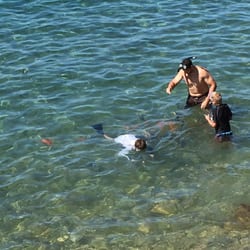 Catalina Snorkel Shack
