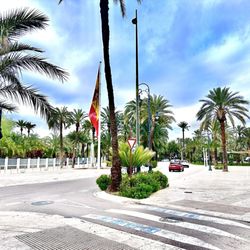Parque Municipal - Parque Municipal