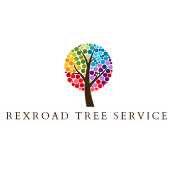 Rexroad Tree Service - Tree Services Near Me - Bellevue, Nebraska Rexroad Tree Service - Tree Services Near Me - Bellevue, Nebraska