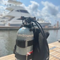 Barnacle King