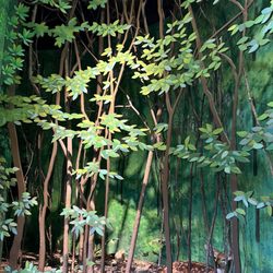 Robinson Nature Center - #robinsonnaturecenter #hocomd #preservefootprints