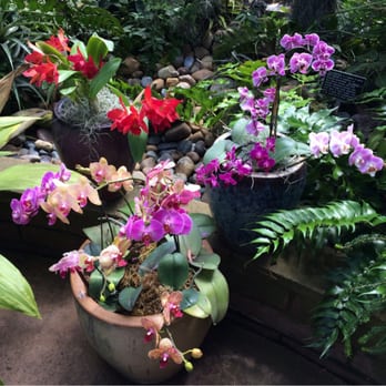 Botanical Building - Best spring ever in Botanical building, Balboa park. - Botanical Gardens Near Me - San Diego, California