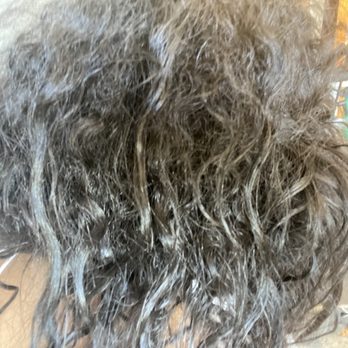 Essence VIP - Another picture of my hair post Herbert. - Blow Dry/Out Services Near Me - Chicago, Illinois
