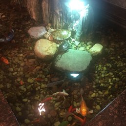 Koi pond!