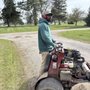 Photo of 4 Diamondz Lawn Care