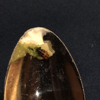 Harvest Dining Hall - Dead bug in guacamole - American Near Me - Brooks, California Harvest Dining Hall - Dead bug in guacamole - American Near Me - Brooks, California