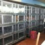 Photo of Hk Live Poultry