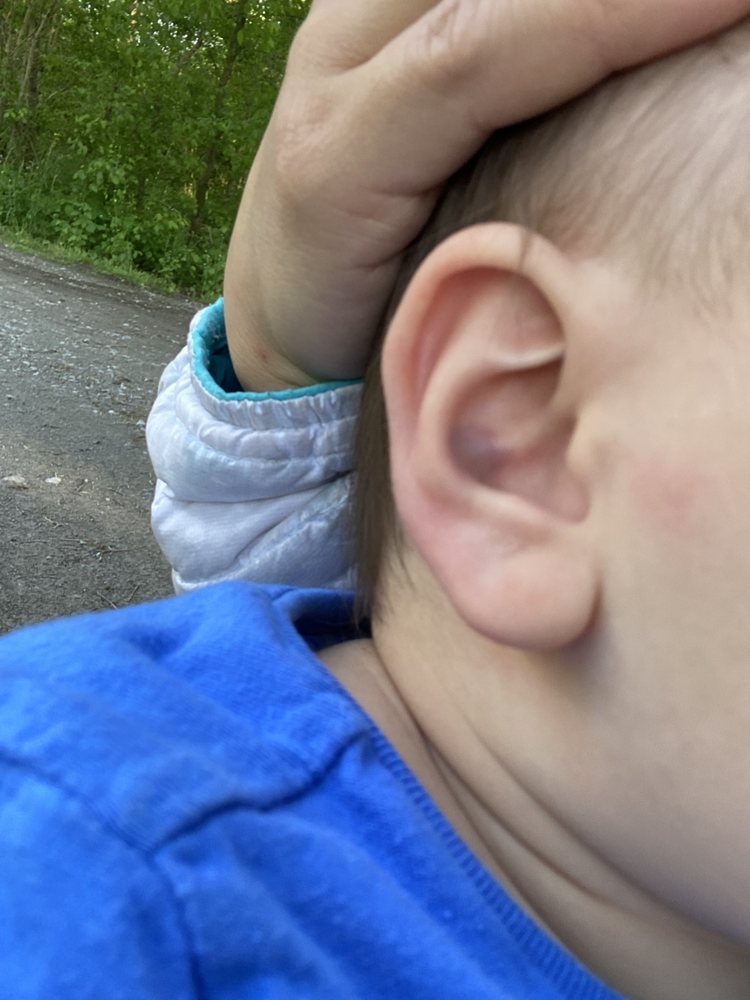 Goose & Gander Preschools - childcare center in Pegram, TN