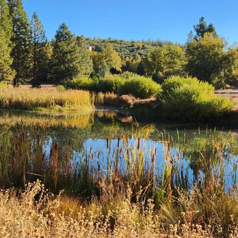 Firefall Ranch Yosemite - Little pond - Hotels Near Me - Groveland, California Firefall Ranch Yosemite - Little pond - Hotels Near Me - Groveland, California