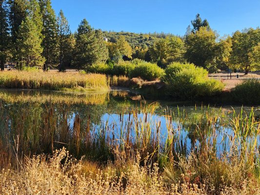 Firefall Ranch at Yosemite by null