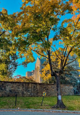 Georgetown University by null