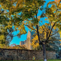 Georgetown University - White-Gravenor
