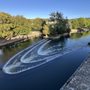 Pulteney Weir