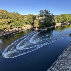 Pulteney Weir