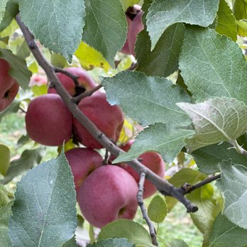 The Orchard At Doc Waters Cidery - Cideries Near Me - Germantown, Maryland