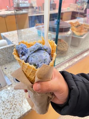 Van Leeuwen Ice Cream by null