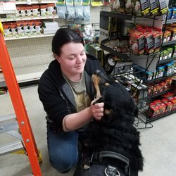 Mini Pet Mart