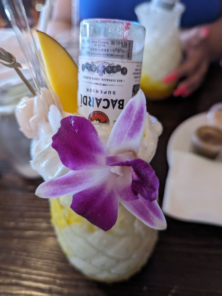 NOCHES DE COLOMBIA Updated November 2024 10 Photos 675 US1