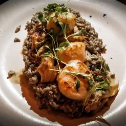 Scallops