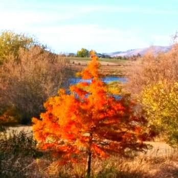 Quarry Lakes - Parks Near Me - Fremont, California Quarry Lakes - Parks Near Me - Fremont, California