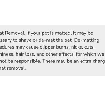 Doggie Style Pets - Ur policy? No injuries because he wasn't shaved! - Pet Stores Near Me - Somers Point, New Jersey Doggie Style Pets - Ur policy? No injuries because he wasn't shaved! - Pet Stores Near Me - Somers Point, New Jersey