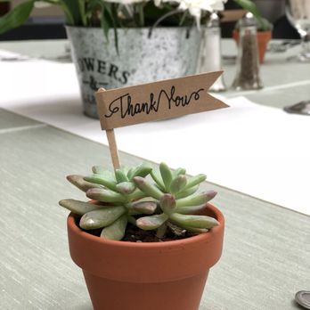 Plant Shop Chicago - Succulents - Nurseries & Gardening Near Me - Chicago, Illinois Plant Shop Chicago - Succulents - Nurseries & Gardening Near Me - Chicago, Illinois