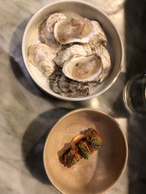 Photo of Borough - Minneapolis, MN, US. Oysters (too salty), sea urchin (lovely treat)