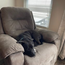 Humane Society of Clinton County