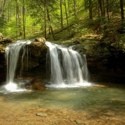 Frozen Head State Park