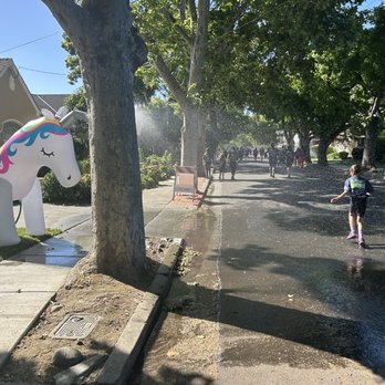 Willow Glen 5K - Races & Competitions Near Me - San Jose, California Willow Glen 5K - Races & Competitions Near Me - San Jose, California