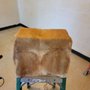 SERVPRO of Central St. Petersburg/Pinellas Park