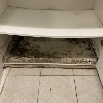 Chicago Mold Service - High amounts of mold under cabinets. - Damage Restoration Near Me - Chicago, Illinois