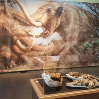 Western Science Center - Museums Near Me - Hemet, California