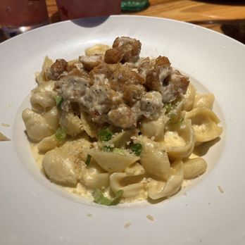 Miller's Ale House - ZINGERS MAC N CHEESE - Sports Bars Near Me - Kissimmee, Florida Miller's Ale House - ZINGERS MAC N CHEESE - Sports Bars Near Me - Kissimmee, Florida