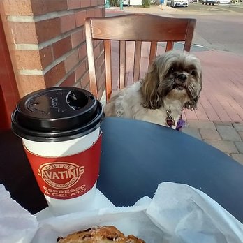 Javatinis Espresso - My Shih Tzu, Ashes, enjoyed Javatinis on 10/21/22. - Coffee & Tea Near Me - Seal Beach, California Javatinis Espresso - My Shih Tzu, Ashes, enjoyed Javatinis on 10/21/22. - Coffee & Tea Near Me - Seal Beach, California