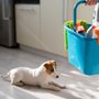 Ofelia's Housecleaning
