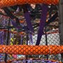 Photo of The Rush Fun Park