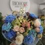 Biohome Aveiro Flowers