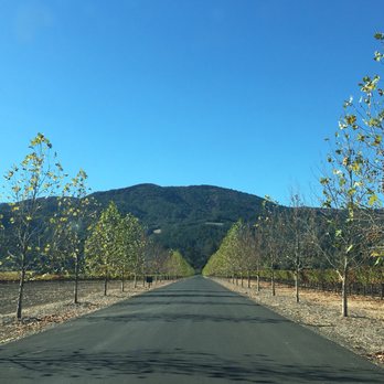 Inglenook - Wineries Near Me - Rutherford, California
