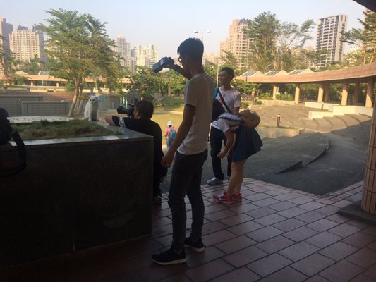 Kaohsiung Museum of Fine Arts by null