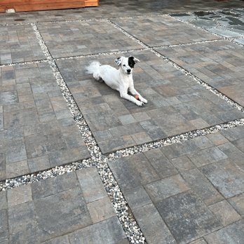 East Bay Landscaping Services - Dog - Landscaping Near Me - San Pablo, California