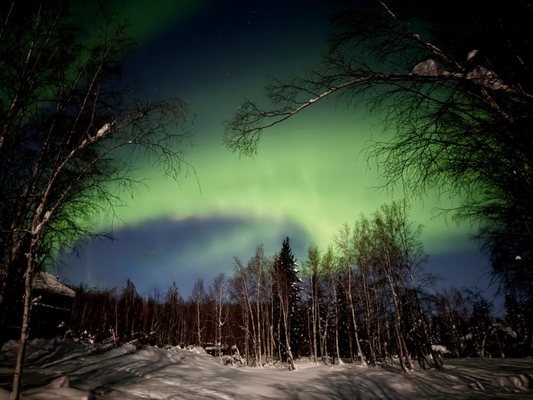 Alaska Grizzly Lodge by null